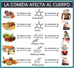 La Nueva Y Mejorada Versi N De La Pir Mide Alimenticia De Todo Un Poco